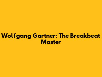 Wolfgang Gartner: The Breakbeat Master