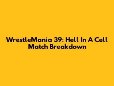 WrestleMania 39: Hell In A Cell Match Breakdown