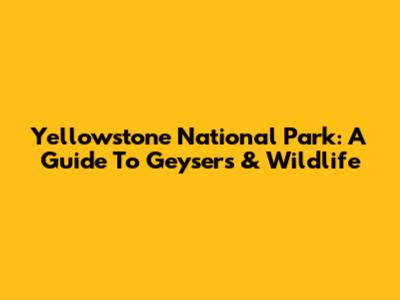 Yellowstone National Park: A Guide To Geysers & Wildlife