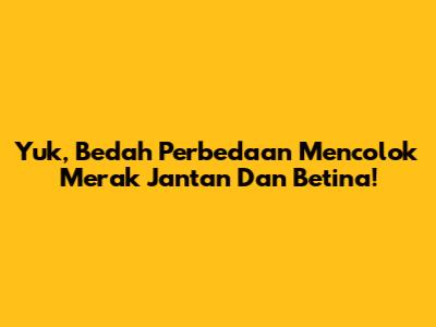 Yuk, Bedah Perbedaan Mencolok Merak Jantan Dan Betina!