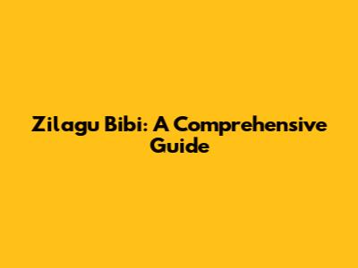 Zilagu Bibi: A Comprehensive Guide