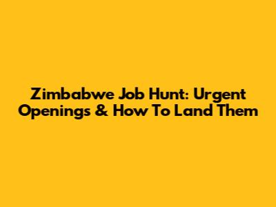 Zimbabwe Job Hunt: Urgent Openings & How To Land Them